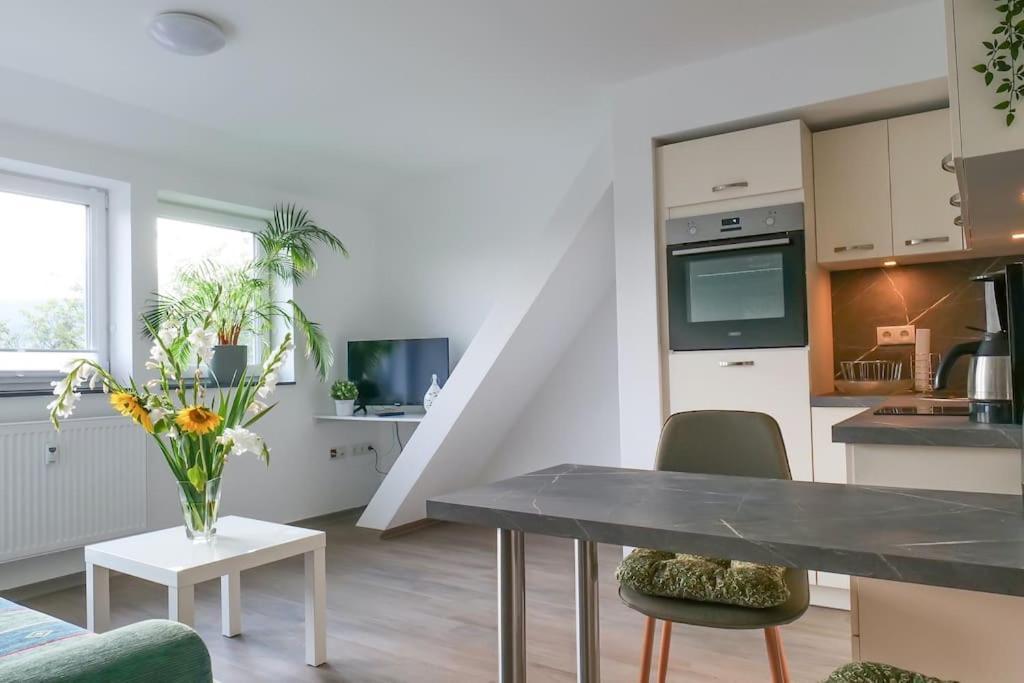 Wunderschoene Ferienwohnung Mit Balkon In Aue Aue  Exterior foto